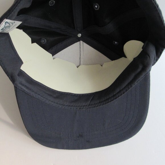 AriZona Iced Tea 20th Anniversary Hat Embroidered Logo Blue Snapback Unisex Cap - Picture 11 of 16